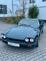 Jaguar XJR-S TWR H Gutachten - Jaguar aus 1991