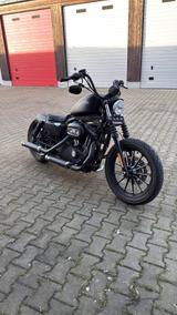 Harley-Davidson Sportster  1200 Iron - Offers