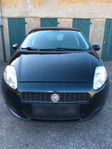 Fiat FIAT PUNTO 1,4 BENZINER TÜV NEUE - Fiat Punto aus 2008: 1.4