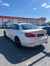 ALPINA D4 3.0 Biturbo Automatik - - ALPINA: Weiß