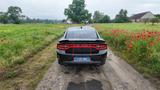 Dodge Charger R/T V8 Navi Alpine Sound Kamera - gebrauchte Dodge Limousine