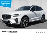 Volvo XC60 T8 AWD Plus Dark 360 4xSHZ ACC AUT EL.HECK