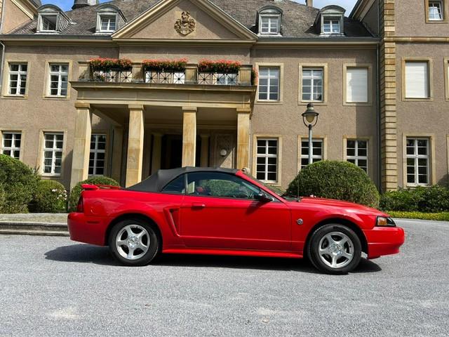 Ford Mustang Leder