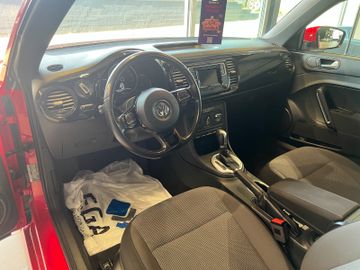 Volkswagen Beetle - 11