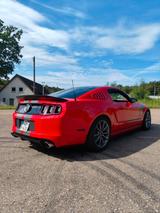 Ford Mustang GT 5.0 Premium Brembo - Ford Mustang mit Benzin-Antrieb: Coupe