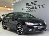 Volkswagen Golf VI Cabriolet 1.4 TSI DSG Cup Voll-Service - Volkswagen Golf: Cabrio, Golf1