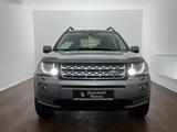 Land Rover Freelander 2 SE TD4 1.HD/XEN/LEDER/4x4/NAVI/AHK - Land Rover Freelander Gebrauchtwagen