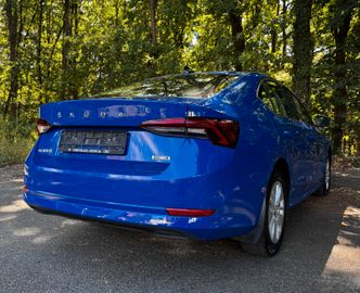 Skoda Octavia - 5