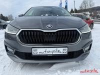 Skoda Fabia Top-Selection DSG PDC Alu 5J Gar.