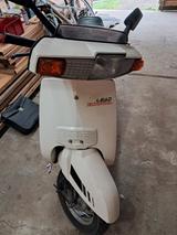 Honda Lead 50 AF01 - HONDA LEAD