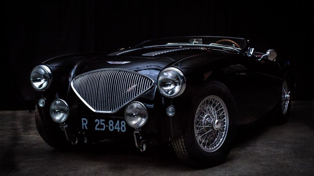 Austin Healey Andere