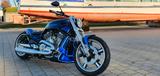 Harley-Davidson V Rod Muscle VRSCF 08/2015 Custom - Offers matching your search criteria
