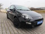 Fiat Punto Pop, City, Klima, TÜV bis 10/2027 - Fiat Punto: Schwarz