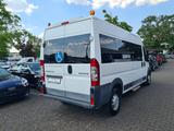 Peugeot Boxer 3,0 - 9 Sitzer + Rampe - Mini Bus - 109tkm - Angebote entsprechen deinen Suchkriterien
