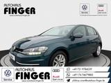 Volkswagen Golf 1.6 TDI Comfortline*Klimaauto/Pano/PDC/SHZ* - Volkswagen Golf: Grün