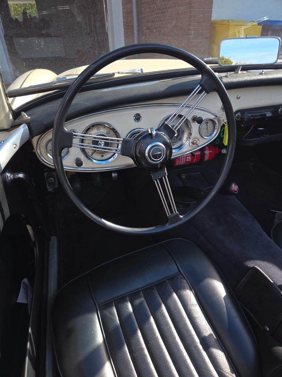 Austin Healey Andere