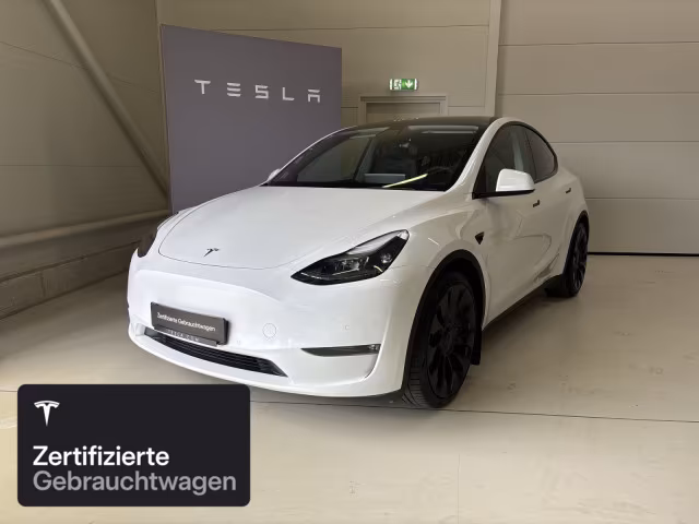 Tesla Model Y Performance