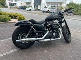 Harley-Davidson XL883N Sportster Iron 883N - HARLEY-DAVIDSON SPORTSTER XL 883