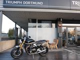 Triumph DIE NEUE Speed Twin 1200 RS - Offers matching your search criteria