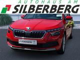 Skoda Kamiq Clever 1.0TSI DSG KAMERA - Skoda Kamiq Gebrauchtwagen in Dresden