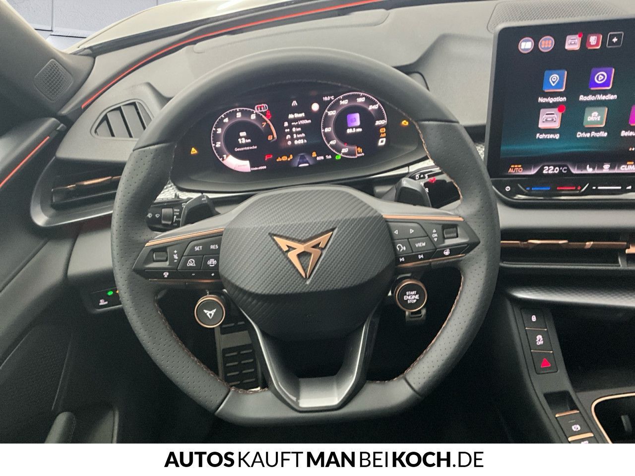Cupra Terramar - Bild 11
