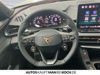 Cupra Terramar - Vorschau Bild 11