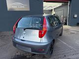 Fiat Punto 1.2 8V Sole - Fiat Punto in Essen