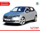 Skoda Fabia 1.0 TSI Clever LED Navi Sitzheizung ACC - Skoda Fabia mit Benzin-Antrieb: Kleinwagen