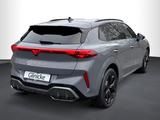 Cupra Terramar 1.5 eTSI DSG, DSG, NAVI, PANO, SENNHEIS - Gebrauchtwagen in Salzgitter