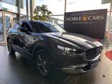 Mazda CX-30 Selection AWD AHK 360° MATRIX LED NAV 18"