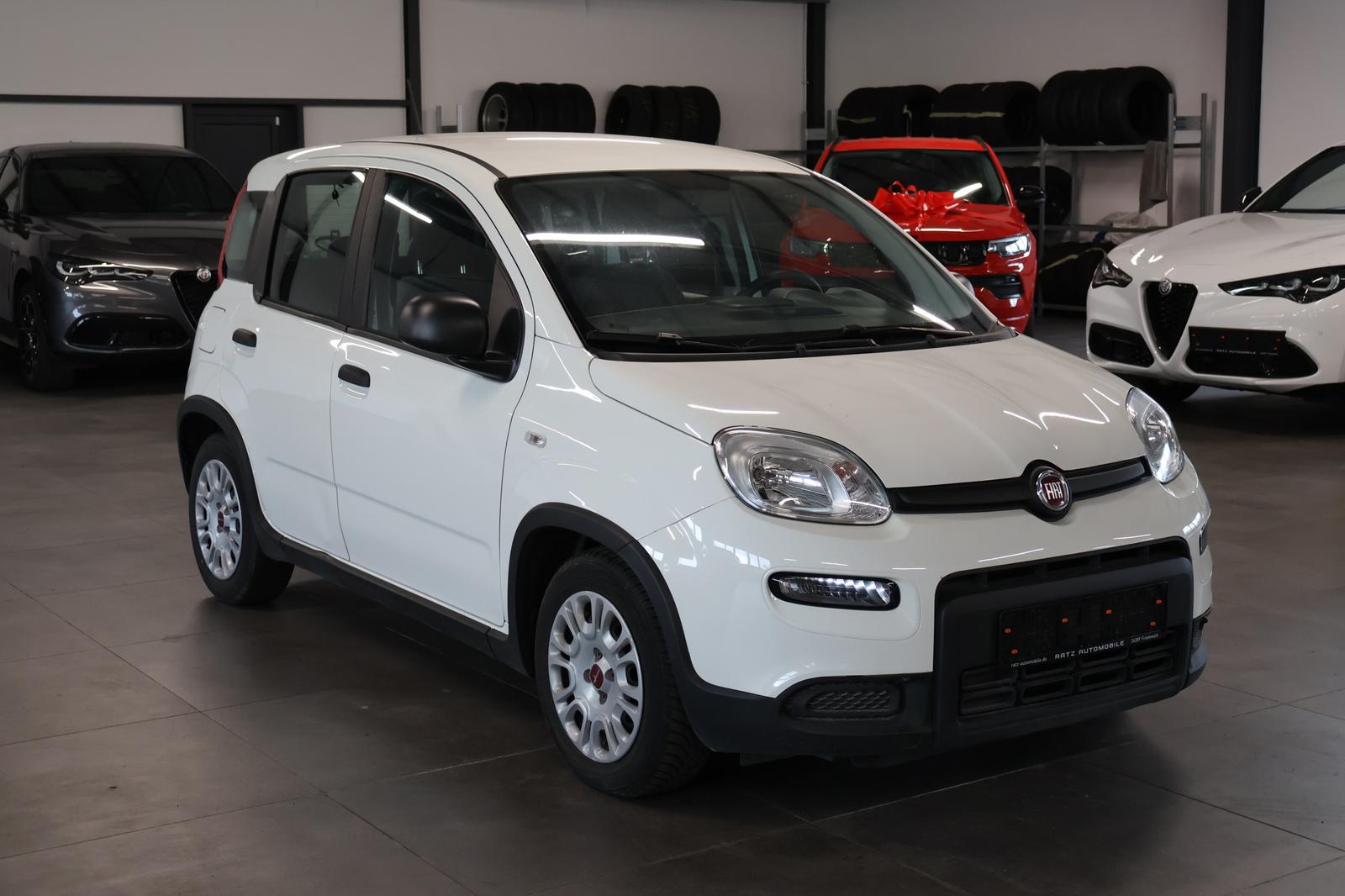 Fiat Panda Base DISPLAY+5-SITZ+BT&DAB-AUDIO+MFL+LIGHT
