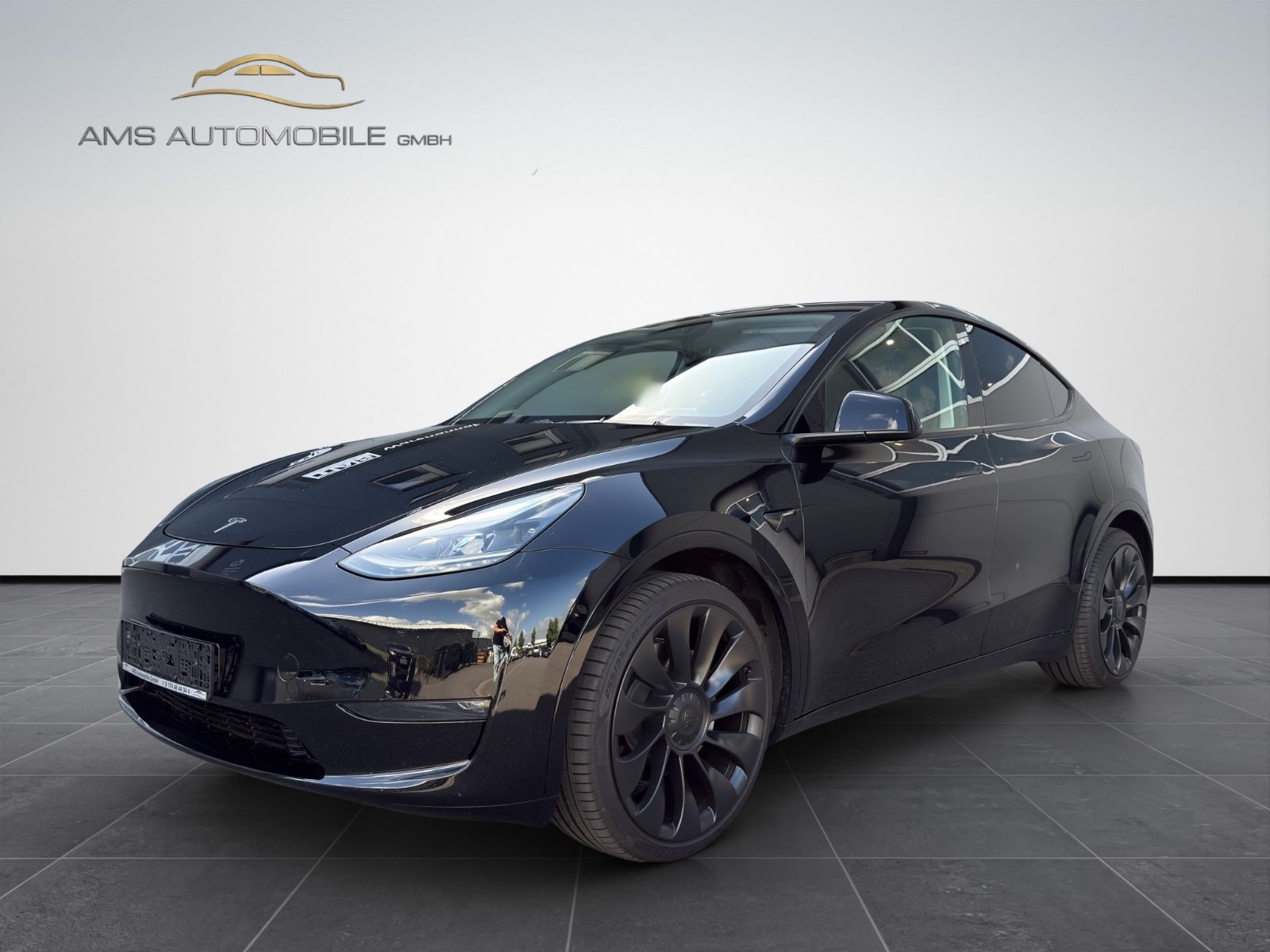 Tesla Model Y Long Range Dual AWD 21 ZOLL STANDHEIZUNG