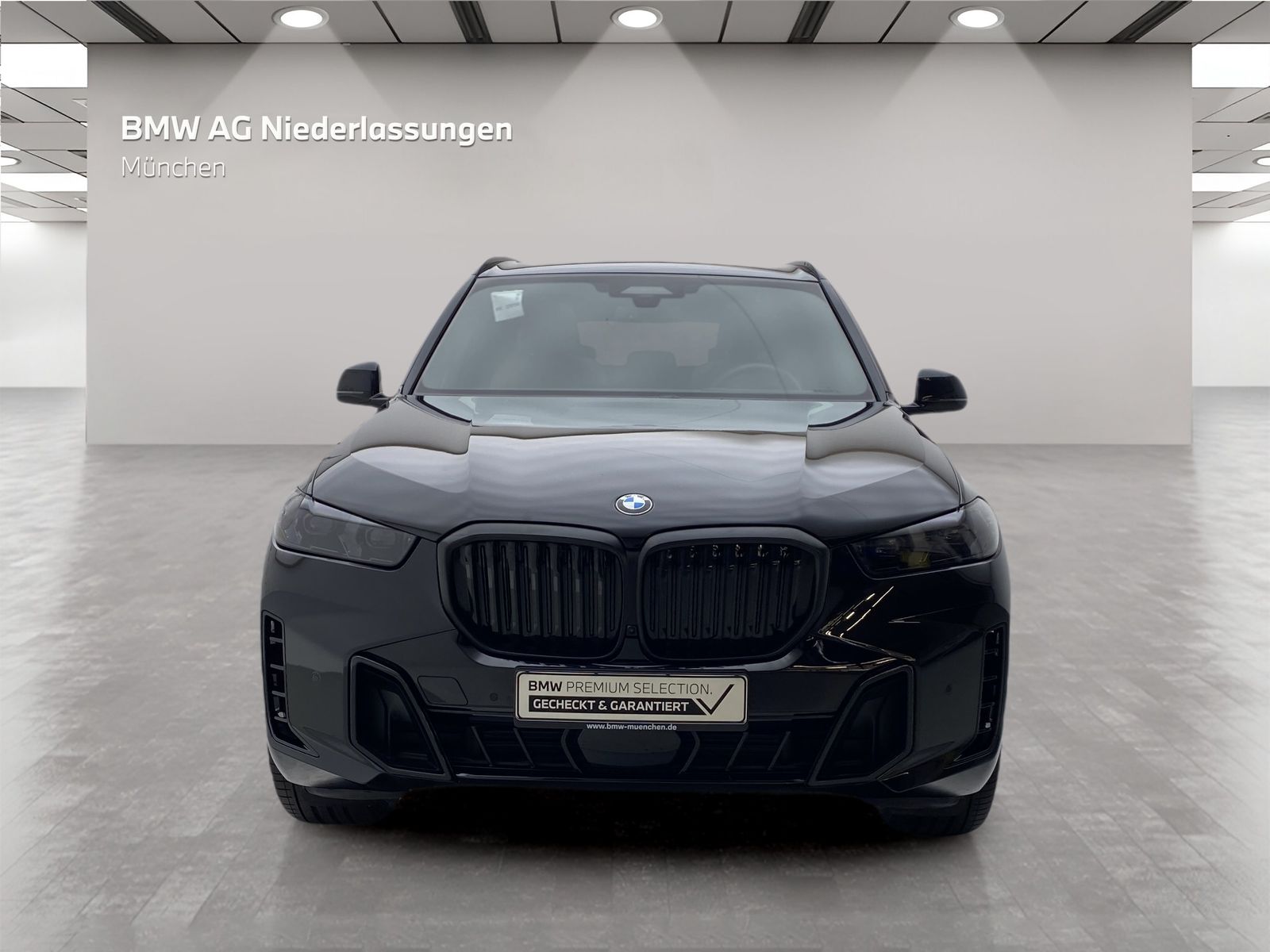 BMW X5 xDrive30d M Sport AHK Driv.Assist.Prof LED foto 4