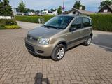 Fiat Panda 1.2 8V Climbing 4X4 - Fiat Panda: Allradantrieb, 2.1