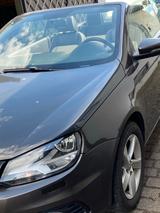 Volkswagen VW-EOS Exclusive 1,4 ltr. - Volkswagen Eos: Exclusive