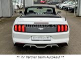 Ford Mustang Cabrio Automatik*NAVI-XENON-LEDER-KAMERA - Ford: Cabrio, Ka