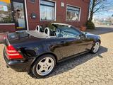 Mercedes-Benz SLK 230 Cabrio SHZ AMG/FELGEN TEMP KLIMA TOP LED - Mercedes-Benz SLK 230: AMG