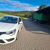Renault Megane TCe 115 GPF Life Life - Renault Megane von privat