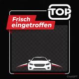 Foton 3 - Foton mit Benzin-Antrieb
