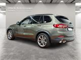 BMW X5 xDrive40d Standheizung Night Vision Massage - BMW X5: Grün