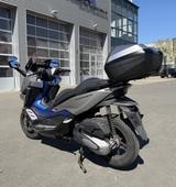 Honda Forza 125 ABS/ Keyless/ Scheckheft/ 1. Hand - HONDA ROLLER 125