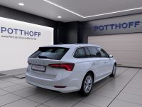 Skoda Octavia - Vorschau Bild 6