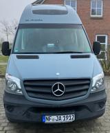 La Strada Regent L - La Strada Regent l