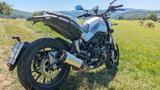 Benelli Leoncino 500