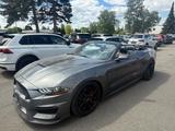 Ford Mustang GT Convertible Shelby OPTIK 5.0 V8 ACC/N - Ford Mustang Gebrauchtwagen in Braunschweig