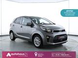 Kia Picanto 1.2 Vision Navi|ParkPilot|Klima - Kia Gebrauchtwagen von 2024
