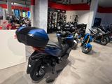 Honda Forza 125 2025 Blue *sofort verfügbar* - HONDA NEU ROLLER