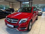 Mercedes-Benz GLK 220 CDI 4MATIC 7G-TRONIC/AHK/PANO/Bi-Xenon - gebrauchte Mercedes-Benz GLK 220 aus dem Jahr 2013