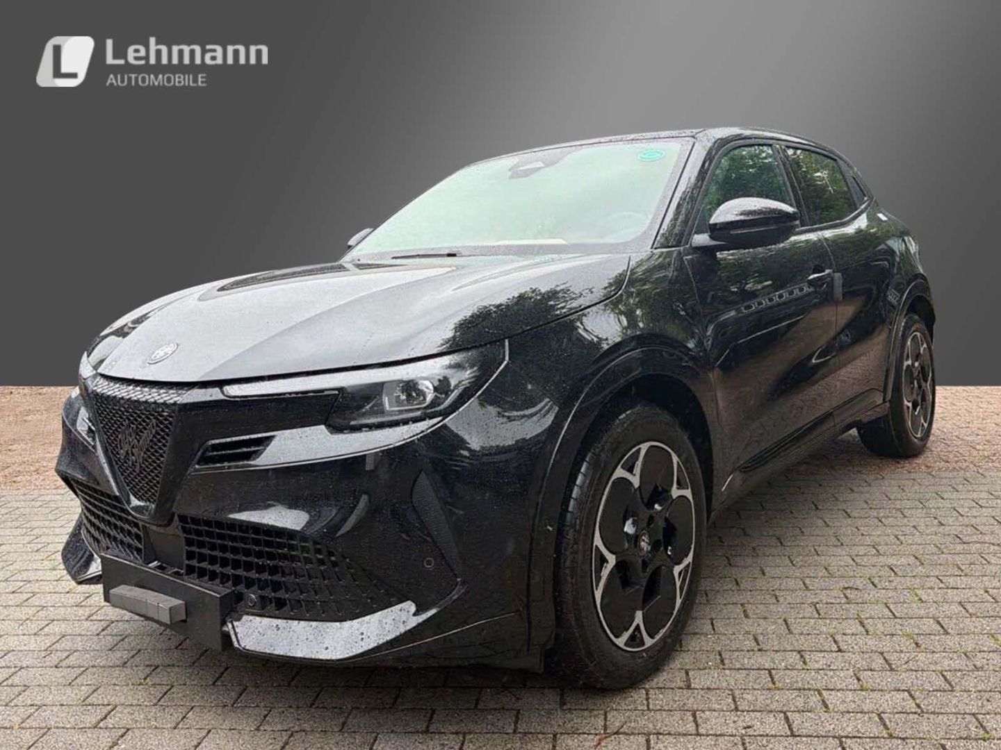 Fahrzeugabbildung Alfa Romeo Junior Elettrica TI -Technologie-Panorama-Wärmep