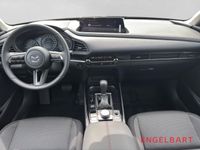 Mazda CX-30 - Vorschau Bild 9